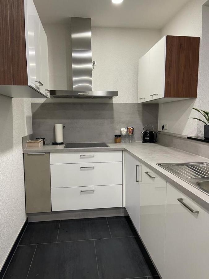 2 Zimmer Wohnung Zur Taegliche Miete Hechingen Eksteriør billede